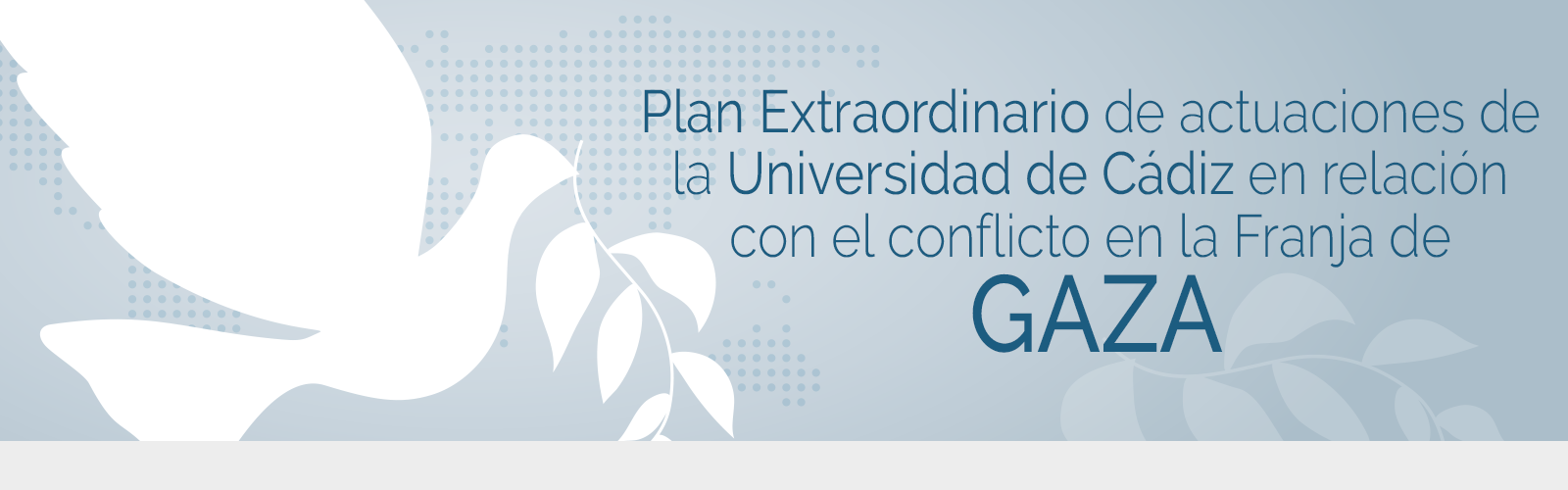 IMG Plan Extraordinario Franja de Gaza